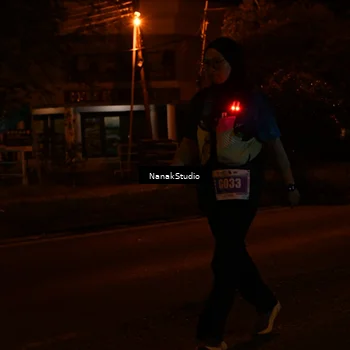 Runner Photo 4436292