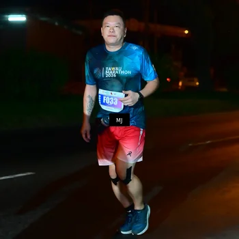 Runner Photo 4436558