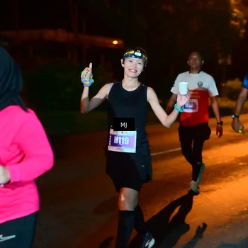 Runner Photo 4436590