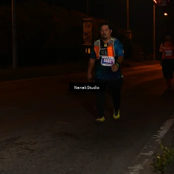 Runner Photo 4436793
