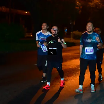 Runner Photo 4437044