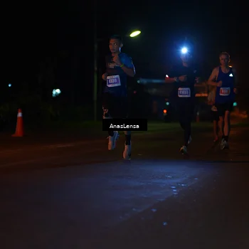 Runner Photo 4437095