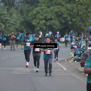 Runner Photo 4437098