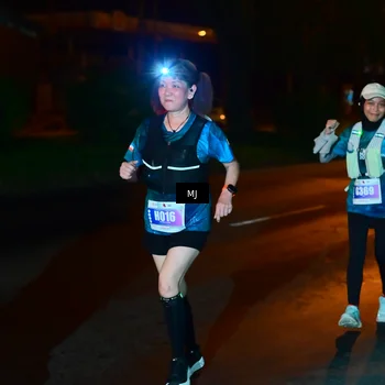 Runner Photo 4437131