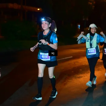 Runner Photo 4437135