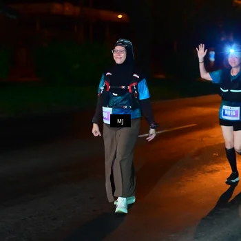 Runner Photo 4437143