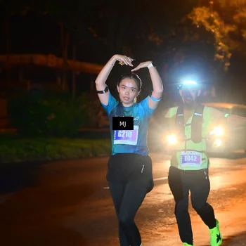 Runner Photo 4437399