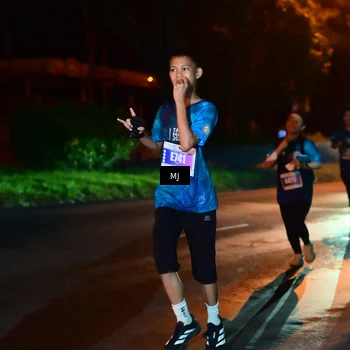 Runner Photo 4437478