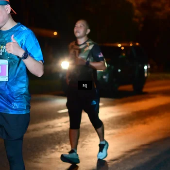 Runner Photo 4437524