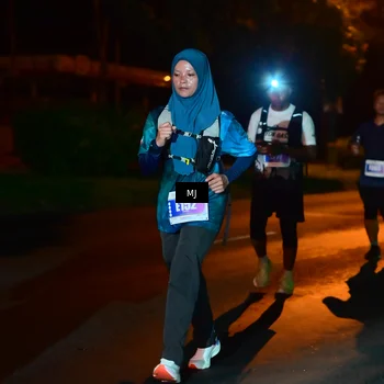 Runner Photo 4437685
