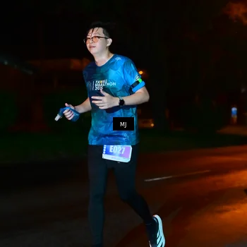 Runner Photo 4437799