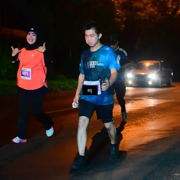 Runner Photo 4437831