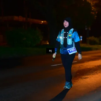 Runner Photo 4437848