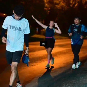Runner Photo 4437957