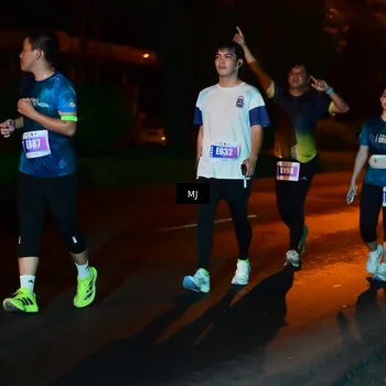 Runner Photo 4438114