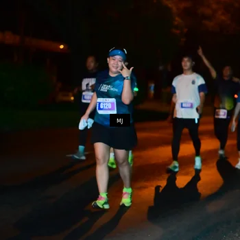 Runner Photo 4438140