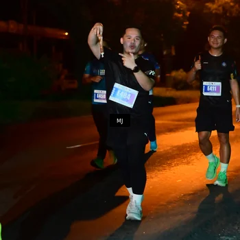 Runner Photo 4438262