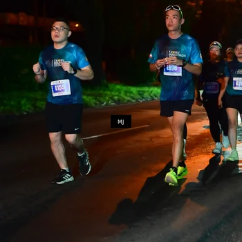Runner Photo 4438761