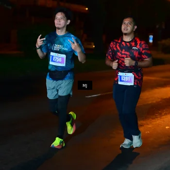 Runner Photo 4438879