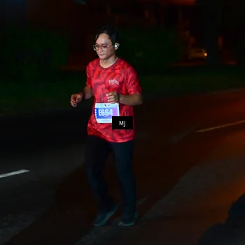 Runner Photo 4439064