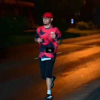 Runner Photo 4439237