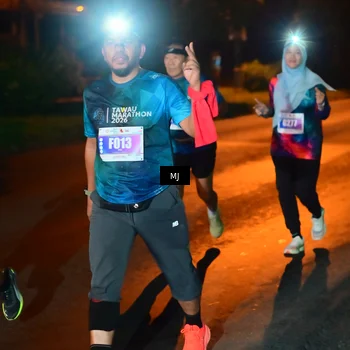 Runner Photo 4439340