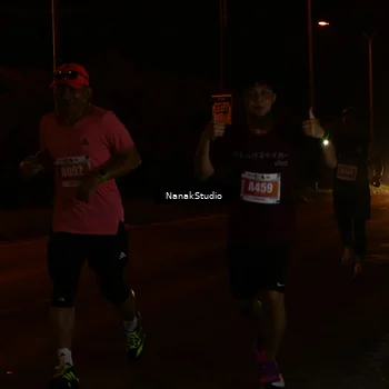 Runner Photo 4439660