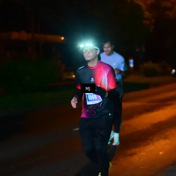 Runner Photo 4439705