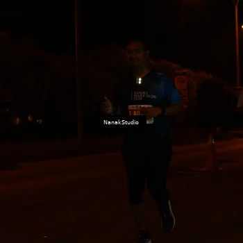 Runner Photo 4439932
