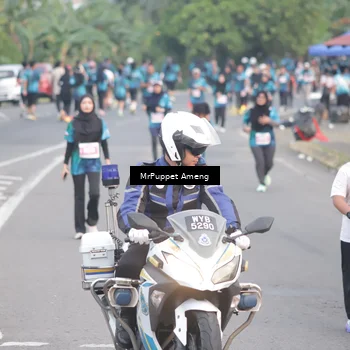 Runner Photo 4440465
