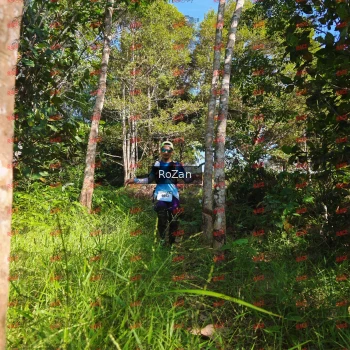 Runner Photo 4441