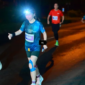 Runner Photo 4441277