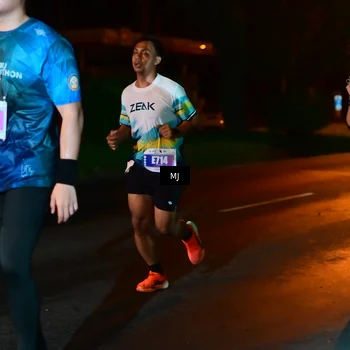 Runner Photo 4441427