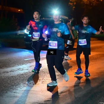 Runner Photo 4442038