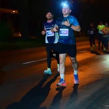 Runner Photo 4442308