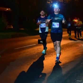 Runner Photo 4442337