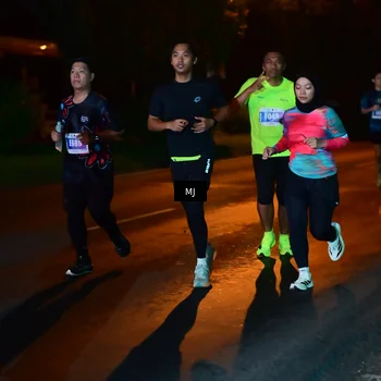 Runner Photo 4442376