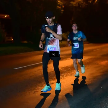 Runner Photo 4443105