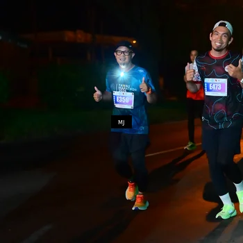 Runner Photo 4443199