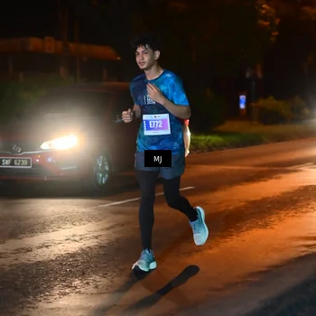 Runner Photo 4443828