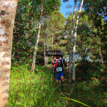 Runner Photo 4444