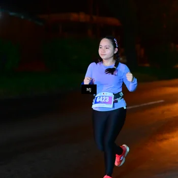 Runner Photo 4444835