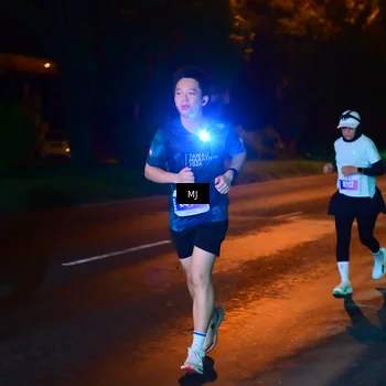 Runner Photo 4445375