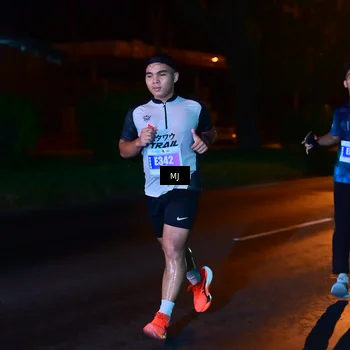 Runner Photo 4445406