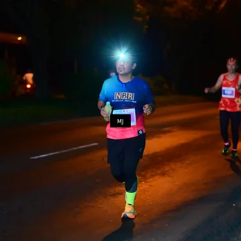 Runner Photo 4445454