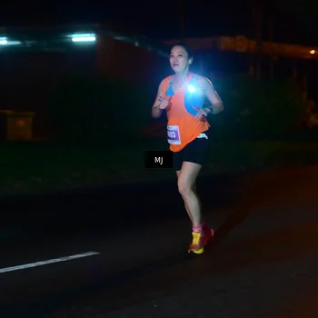 Runner Photo 4445767