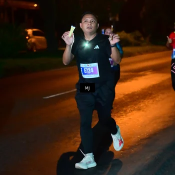 Runner Photo 4446233