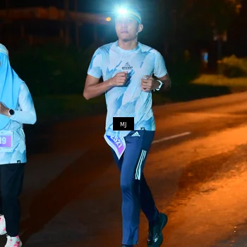Runner Photo 4446246