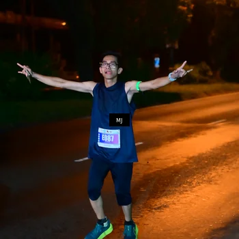 Runner Photo 4446538