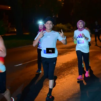 Runner Photo 4446638